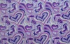 oriinal and fashion cutting motif embossed coral fleece