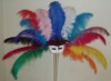 ostrich feathers