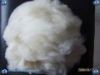 pashmina fiber