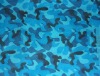 pattern of the Oxford Fabric (pattern-5)