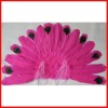 peacock Feather Wings - custom order your color
