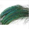 peacock feather, feather extensions, grizzly rooster feathers