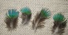 peacock feather, feather extensions, grizzly rooster feathers