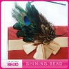 peacock feather headband