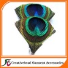 peacock feather headbands