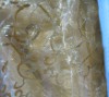 perfect organza bronzing fabric