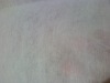 pet nonwoven fabric