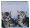 photo printing 100% polyester cushion cover