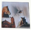 photo printing 100% polyester designer cushion cover