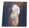 photo printing 100% polyester designer cushion cover