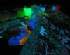 photoluminescent/ glow in the dark fiber cloth