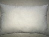 pillow Inner