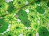 plain canvas print fabrics