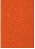 plain dyed cotton poplin