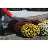 plant cover frost protection fabric polypropylene spunbond nonwoven