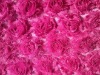 plum hairy rosette upholstery fabric