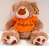 plush bear for education toy