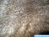 plush fake fur
