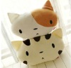 plush interesting cat cushion