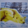 polar bear printed fleece fabric
