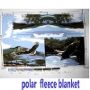 polar fleece blanket and  fabric