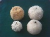 polishing wool ball