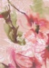 poly opal fabric