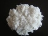 polyeater staple fiber
