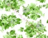 polyester 100% 45*45 110*76 fabric