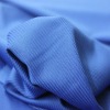 polyester DTY Plain Dyed Interlock Knitted Fabric