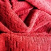 polyester Dobby Fabric/sofa fabric