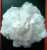 polyester Staple fiber