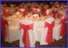 polyester banquet chair covers for weddings