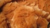 polyester boa fur fabric