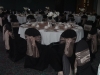 polyester chair cover