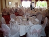 polyester chair cover