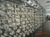 polyester cotton 65/35 21x21 100x52  57/58" fabric