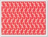 polyester dryer woven screen