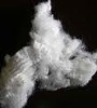 polyester fiber