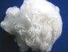 polyester fiber