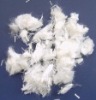 polyester fiber