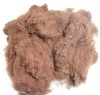 polyester fiber