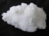 polyester fiber