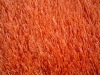polyester low elastic filament carpet