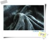 polyester micro velboa