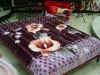 polyester mink blanket