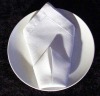 polyester napkins, hotel napkins, table napkins