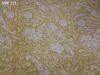 polyester printed fabric (pattern PPF-217)