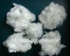 polyester staple fiber