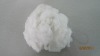 polyester staple fiber